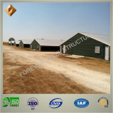 China Professional Manufacture Steel Structure Poultry House