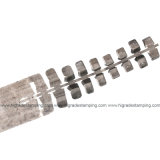 Progressive Die/Tooling/Automobile Cylinder Head Metal Parts (HRD-H49)