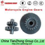 Motorcycle Engine Gears