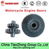 Motorcycle Engine Gears
