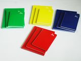 Professional Notebooks