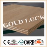 Birch, Poplar, Okoume, Bintangor, Pine Faced Plywood for Furniture