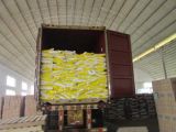Fmcg Bulk Detergent Powder China Factory Directly