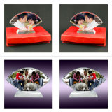 Hot Sale Crystal Trophy for Souvenirs