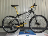 Black New Alloy Bicycle with Good Qualit (SH-AMTB020)