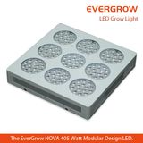 600W LED Flower Plant Grow Light