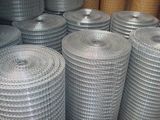 Galvanized Wire Mesh