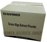 Hight Quality of Green Alga Extract Powder Fertilizer
