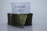 Coil Nail, Building Fool, Hardware Products