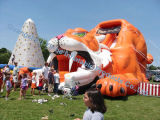 Inflatable Tiger Slide (YH-W-S8)