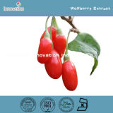 Wolfberry Extract / Barbury Wolfberry Fruit P. E.
