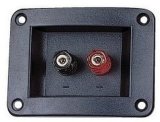 RoHS 2pin Binding Post Loudspeaker Terminal Boxes (DJ-266-B8)