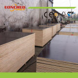 Factory Wholsale Film Faced Plywood