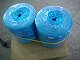 High-Performance Agriculture PP Packing Rope (LT 002)