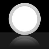 Round Dimmer 12W Warm Withe LED Panel Light/LED Light Panel with Emergency