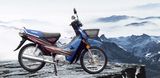 Cub Motorcycle (TIN110 S/D)