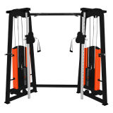 Fitness Equipment/Gym Equipment for Agled Seated Calf (SMD-1019)