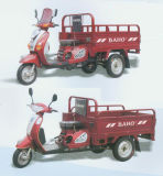 Motor Tricycle (16-ZF110ZH)