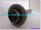 Helical Gear- T67