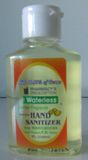 237ml Hand Sanitizer (5302)