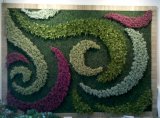 Factory Price Plastic Plant Vertical Artificial Green Wall Fot Decoration