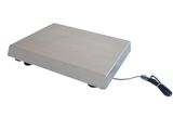Platform Scale