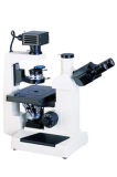 Inverted Biological Microscope (XDS-1)