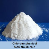High Quality Antibiotics Chloroamphenicol (CAS 56-75-7)