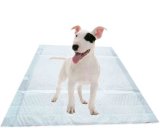 High Quality Super Absorbency Puppy Training Pad with The Size 60*60cm
