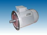 Y2 Series (IP54) 3 - Phase Induction Motor