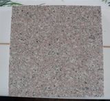 Polished Red Granite for Decoration