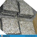 Natural Paving Pebble Stone