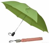 Auto Open and Close 3-Folding Umbrella (BD-24b)