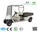 Golf Car with Baggage Holder for Sporters