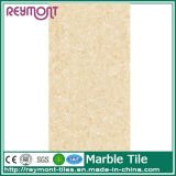 Style Selections Porcelain Marble Tileydp69002