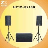 HP12+S218B Pro Audio