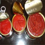 High Quality Canned Tomato Sauce with Brix 28-30%