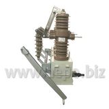 Outdoor Circuit Breaker (ZW-12/24)