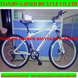 Tianjin Gainer 26