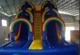 Inflatable Double Slide, Dry Slide, Wet Slide