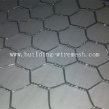 Anping Galvanized Chicken Hexagonal Wire Mesh