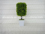 Artificial Plastic Potted Flower (XD14-260)