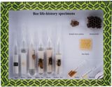 Specimen of Bee Life History M15018