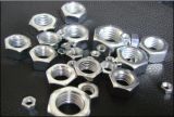 Hex Nuts -DIN934 Zp