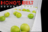Modular Conveyor Belt for Fruit Industry (HS-200B)