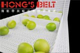 Modular Conveyor Belt for Fruit Industry (HS-200B)