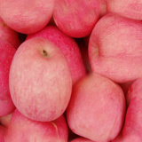 FUJI Apple, Golden Pear, Dried Appricot, Oranges, Preserved Raisins