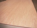 Bintangor Face and Back Commercial Plywood