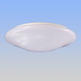 25W LED Ceiling Lights with Motion Sensor (Hz-GYXD25WA)