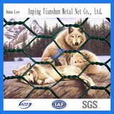 Animal Protected Hexagonal Wire Mesh